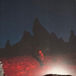 Red and Black Skeleton Art Print